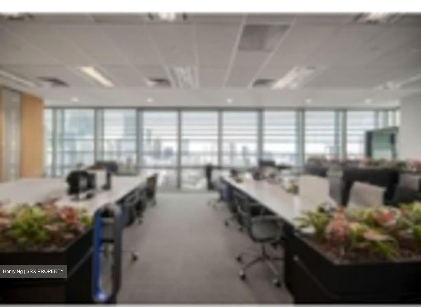 ONE GEORGE STREET (D1), Office #559778161